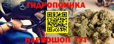 спайс Будённовск