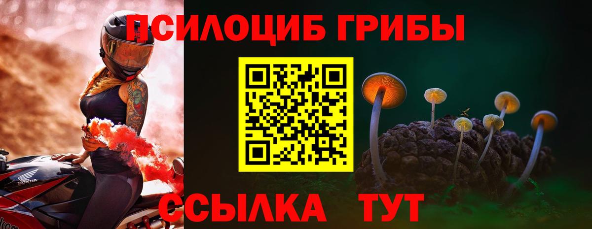 Псилоцибиновые грибы GOLDEN TEACHER Людиново