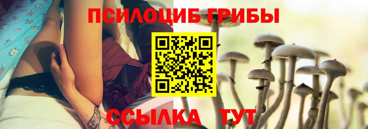 Галлюциногенные грибы прущие грибы  Псилоцибиновые грибы прущие грибы  Вход с VPN  Людиново 